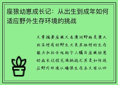 座狼幼崽成长记：从出生到成年如何适应野外生存环境的挑战